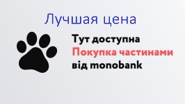 Framesi MORPHOSIS Re-Structure Kit - Пробный Набор для улучшения структуры волос, 100+100+100 мл.