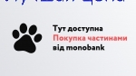 Framesi MORPHOSIS Re-Structure Kit - Пробный Набор для улучшения структуры волос, 100+100+100 мл.